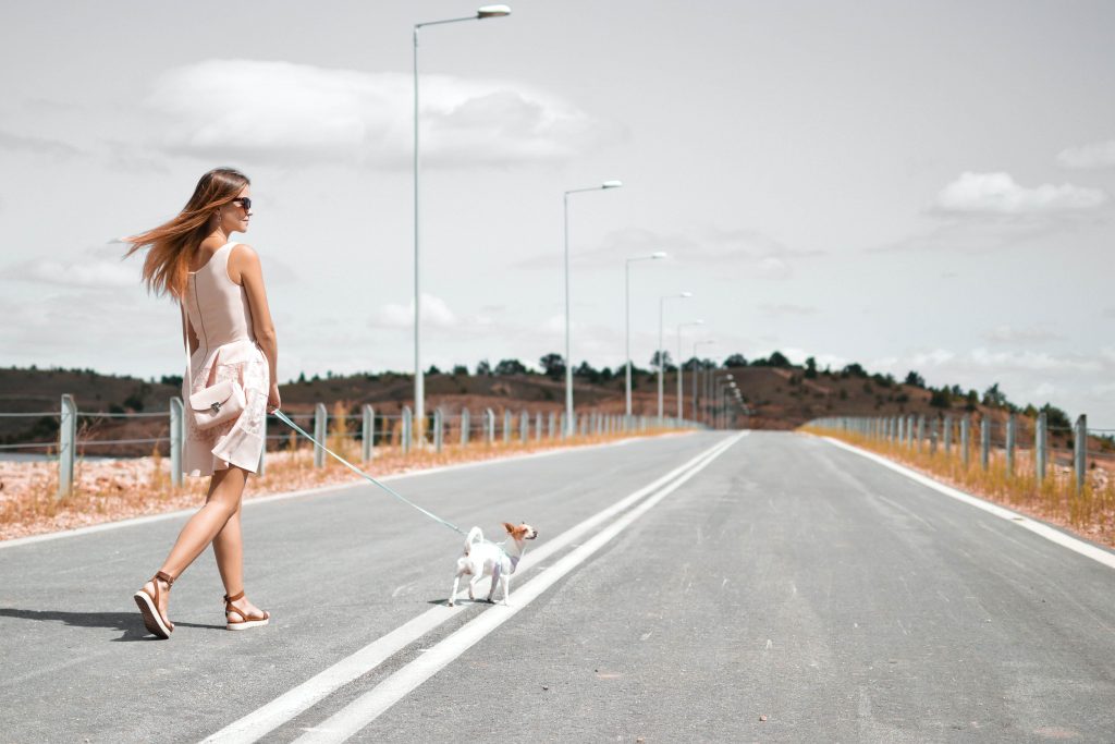 жена разхожда кучето си на главен път